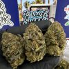 Cherry Bomb Strain