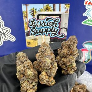 Purple God Strain