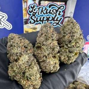 Kiwi Burst Strain