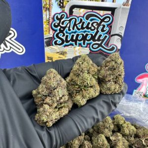 Black Ice Strain