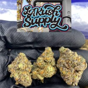 Purple God Strain