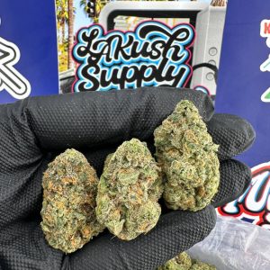 Purple Crack Strain