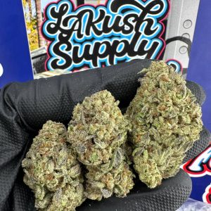Pornstar Martini Strain
