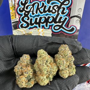 Gargoyle Strain