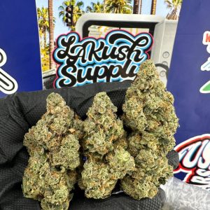 Lemon Cherry Gelato Strain