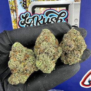 Blueberry Munchkin strain