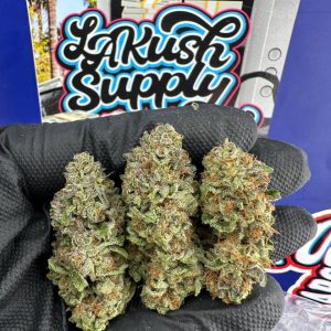 Dark Devil Strain