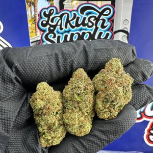 Tundra Strain
