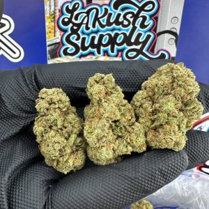 Purple Gold Strain