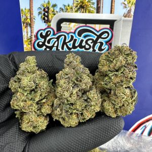 Train Diesel Strain