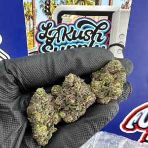 Tang Strain​